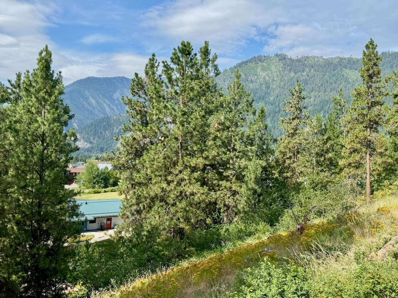 The One Bedroom - photo 12